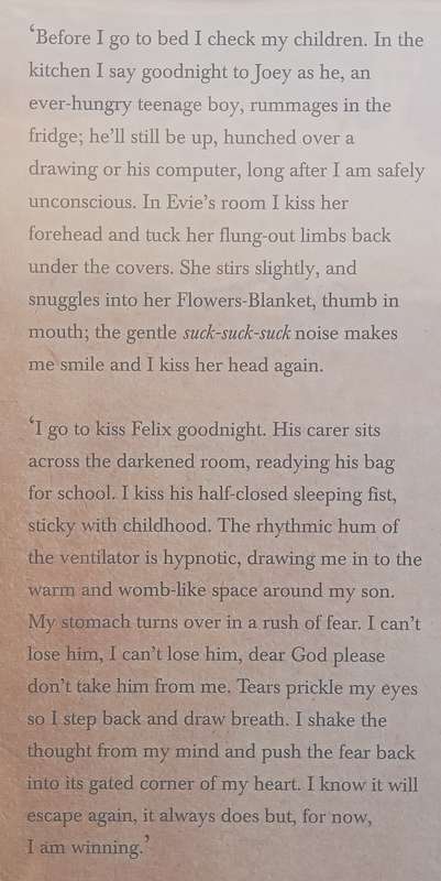 Fragile | Niki Shisler