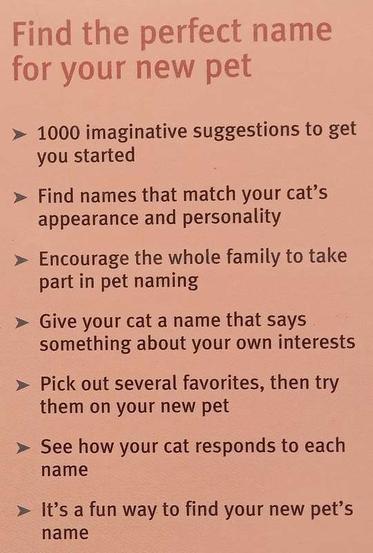 1000 Cat Names from A to Z | Gabrielle Linke-Grun & Sharon Vanderlip