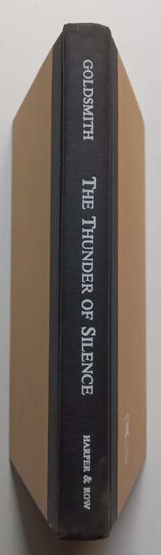 The Thunder of Silence | Lorraine Sinkler (Ed.)