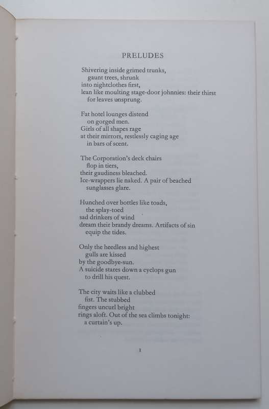 Eyes Closed Against the Sun | Douglas Livingstone