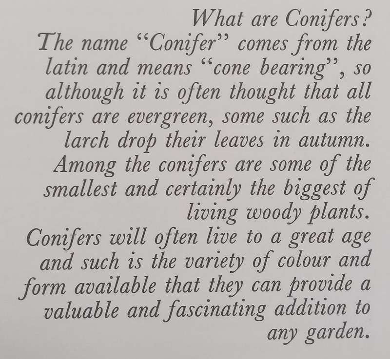 Conifers for Your Garden | Adrian Bloom