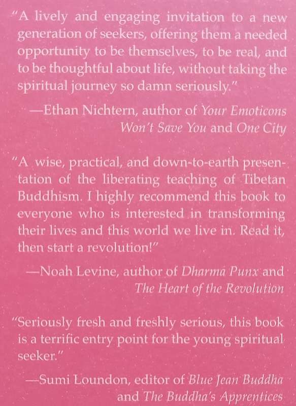 The Buddha Walks Into a Bar: A Guide to Life for a New Generation | Lodro Rinzler