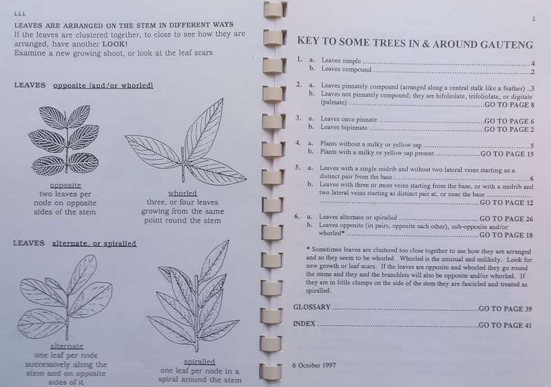 Key to Some Trees of Gauteng (Signed by Author) | Meg Coates Palgrave