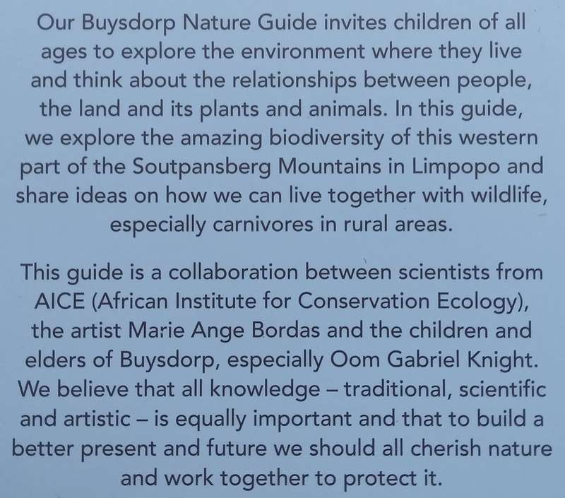 Buysdorp Nature Guide: Living with the Wild Around Us
