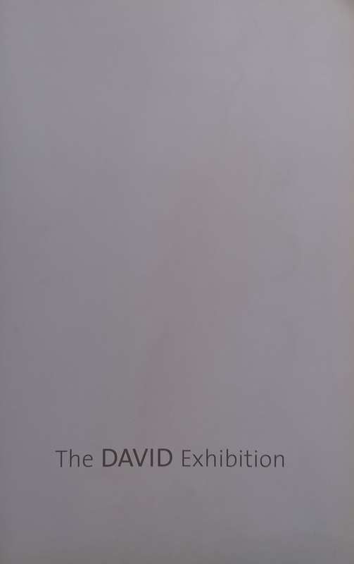 The David Exhibition (Catalogue to Accompany the Exhibition)