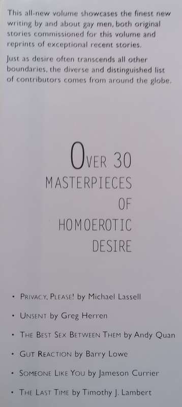 The Mammoth Book of New Gay Erotica | Lawrence Schimel (Ed.)