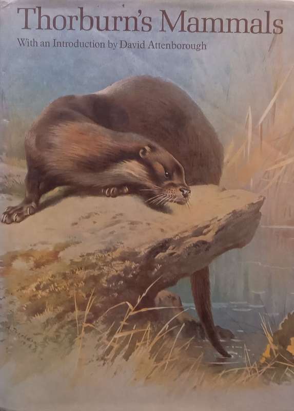 Thorburns Mammals | Iain Bishop (Ed.)