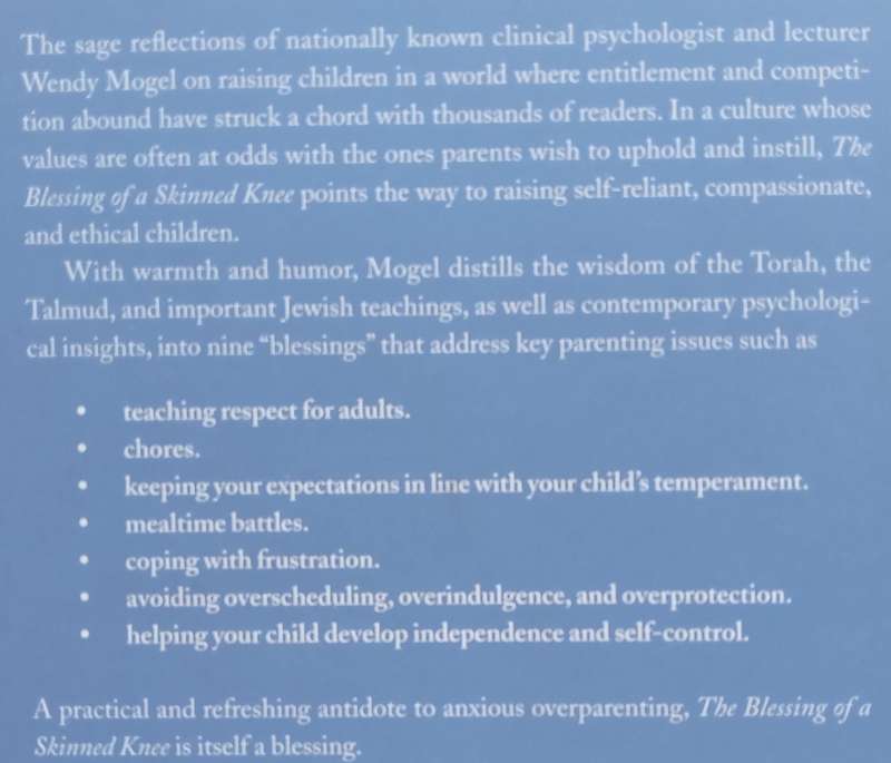 The Blessing of a Skinned Knee: Using Jewish Teachings to Raise Self-Reliant Children | Wendy Mogel