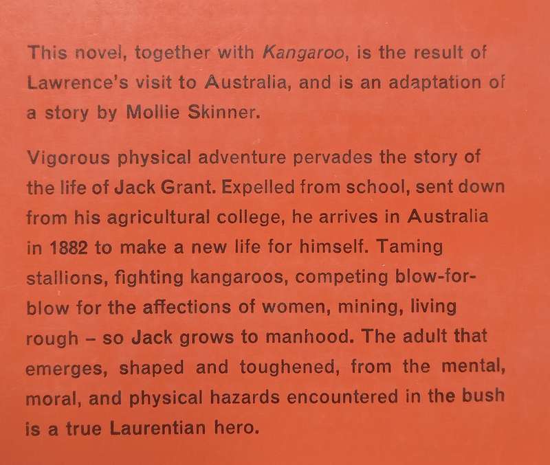 The Boy in the Bush | D. H. Lawrence &amp; M. L. Skinner