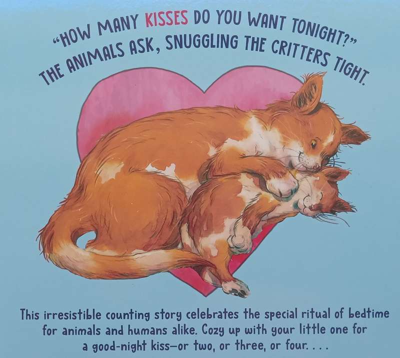 How Many Kisses Do You Want Tonight? (Board Book) | Varsha Bajaj
