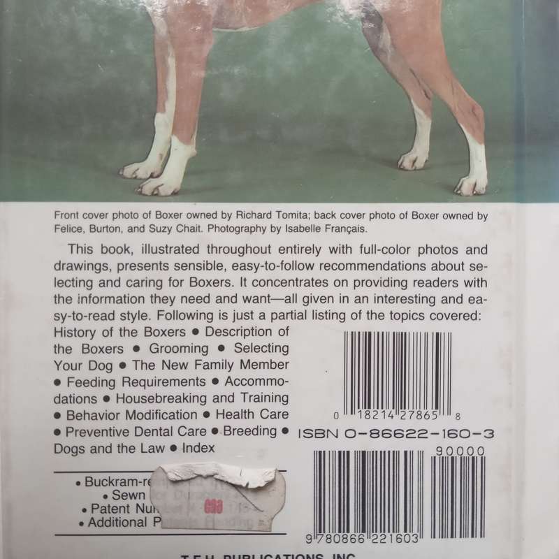 Boxers | Beverly Pisano