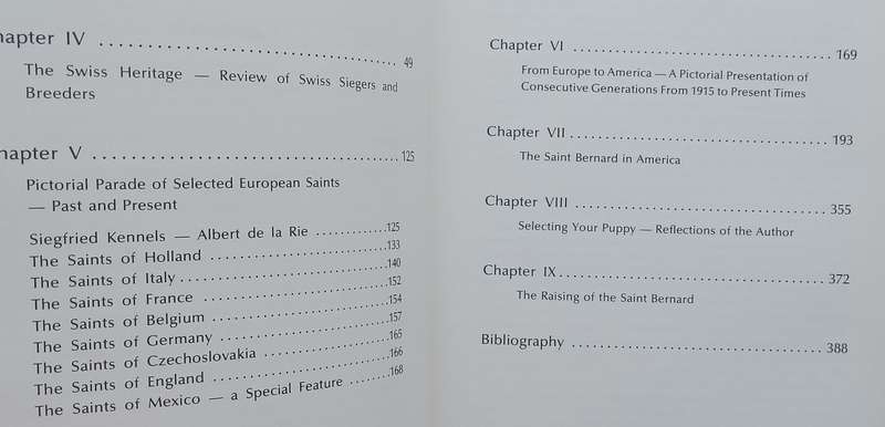 The Saint Bernard Classic | Albert de la Rie