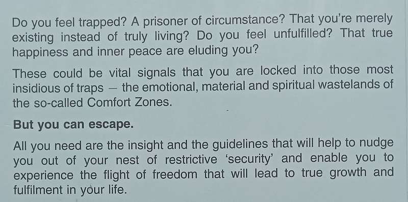 How to Escape Your Comfort Zones | Lee Johnson