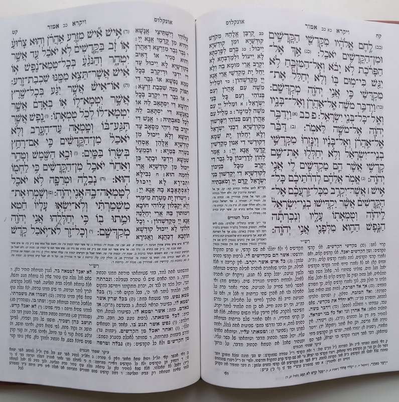Torah, Arranged in a New Order in Unique Letters (Hebrew)