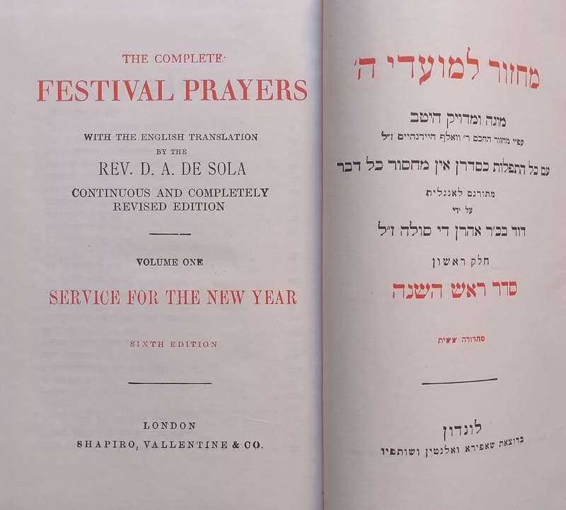 The Complete Festival Prayers, Vol. 1: Service for the New Year (Dual Language Edition) | Rev. D....