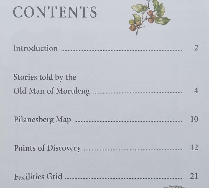 Pilanesberg Official Map and Park Guide