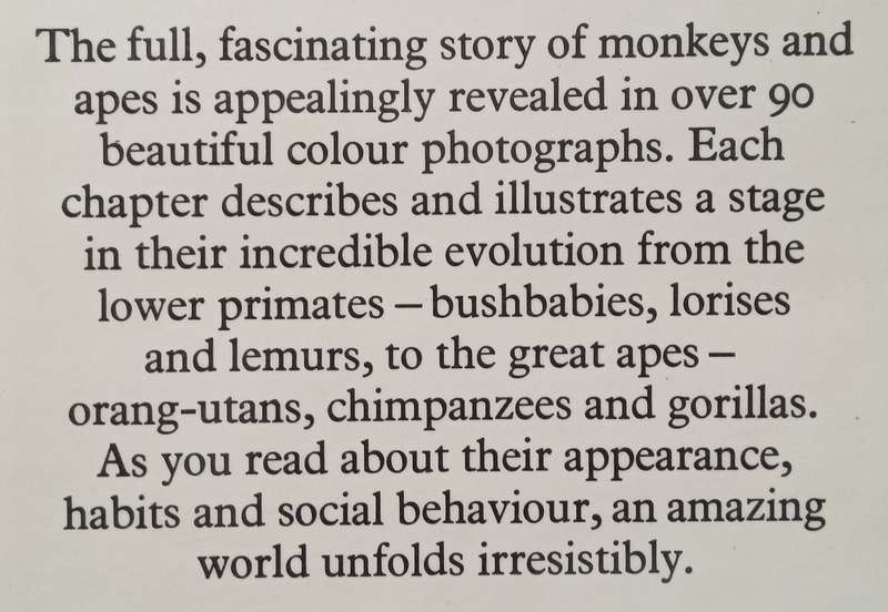 The Love of Monkeys and Apes | Dan Freeman