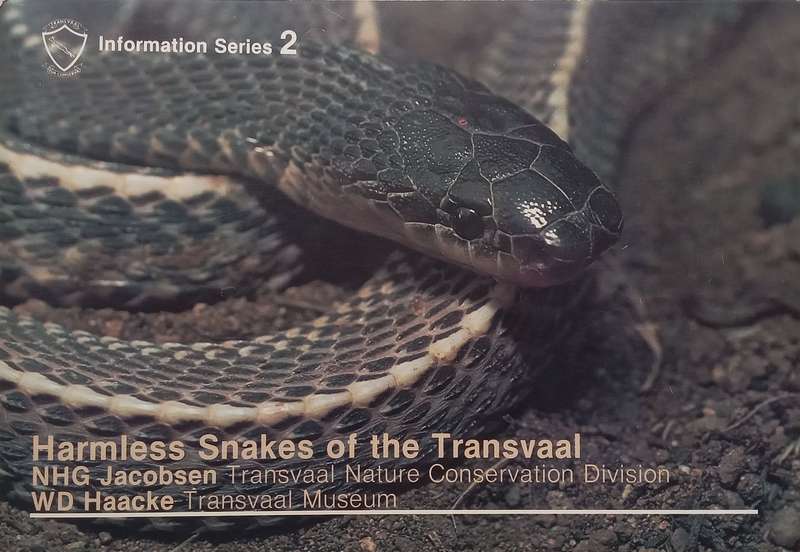 Harmless Snakes of the Transvaal | N.H.G. Jacobson & W.D. Haacke