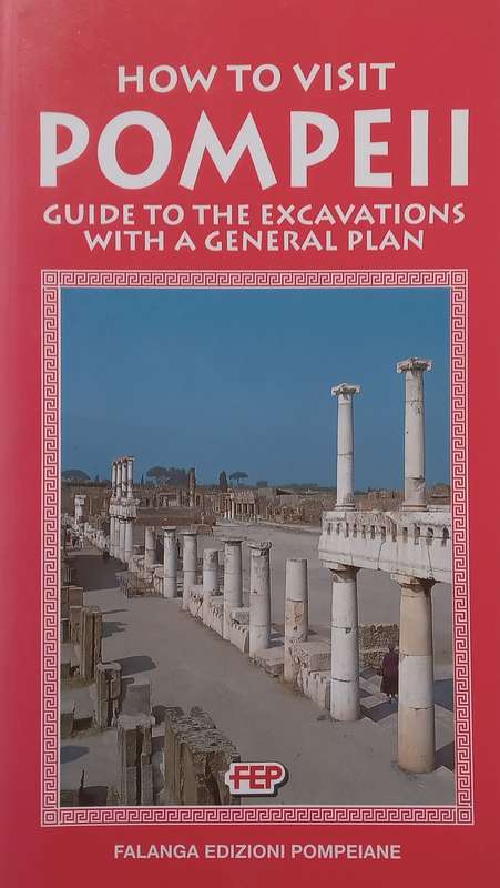 How to Visit Pompeii (With 2 Loosely Inserted Tickets) | Enrika DOrta