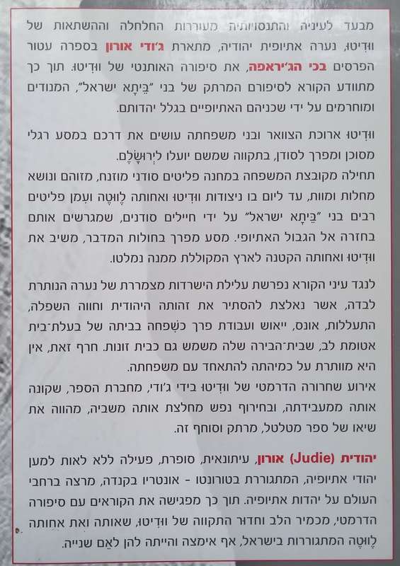 Cry of the Giraffe (Hebrew Text) | Judie Oron