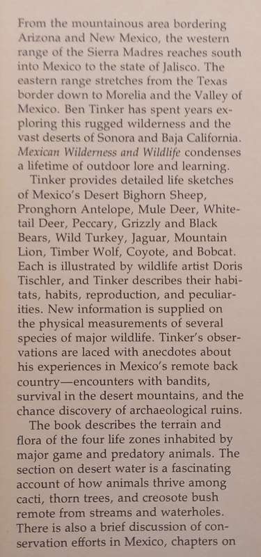 Mexican Wilderness & Wildlife | Ben Tinker