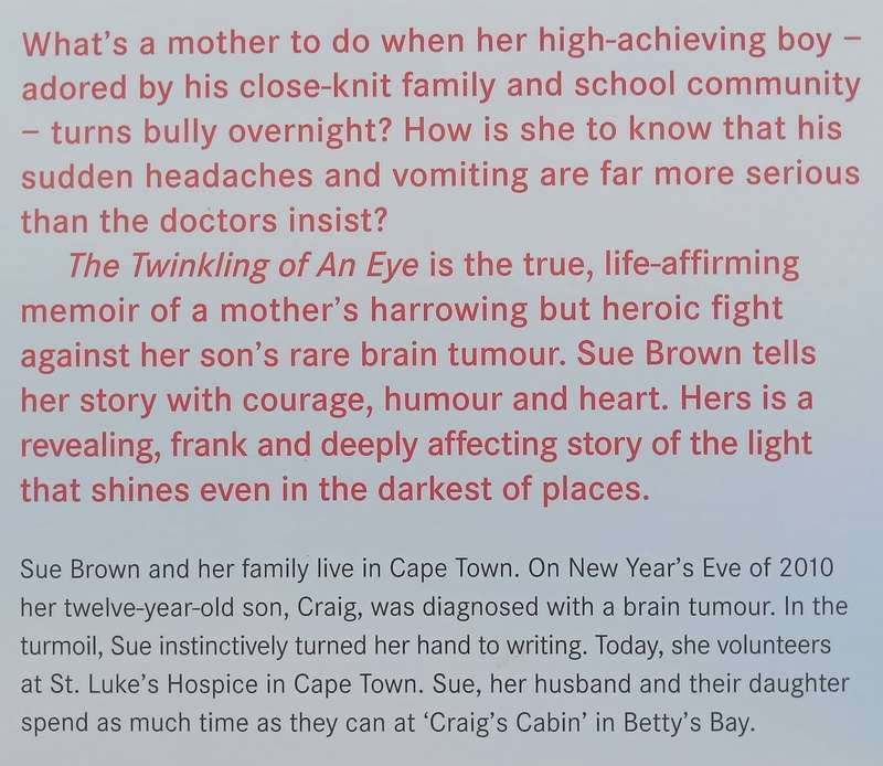 The Twinkling of an Eye: A Mother's Journey | Sue Brown