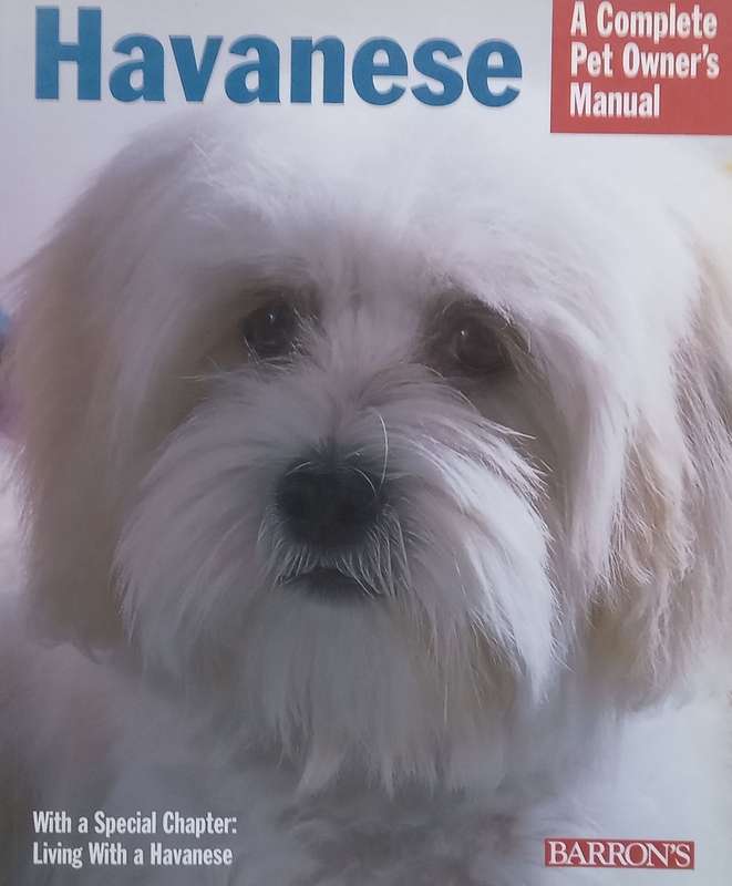 Havanese: A Complete Pet Owners Guide | Nikki Riggsbee