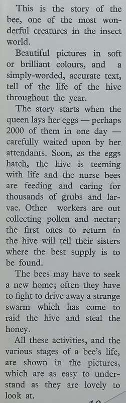 The World of the Bee (With Newspaper Clipping The Honey Bee) | Cecilia Levandovska
