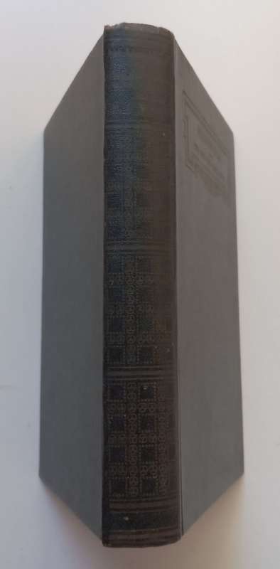Meanwhile: The Picture of a Lady | H. G. Wells