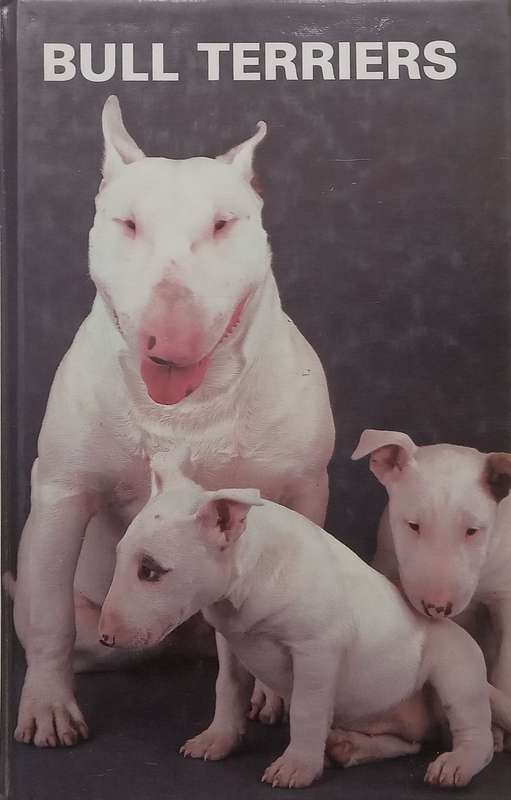 Bull Terriers | Martin Weil
