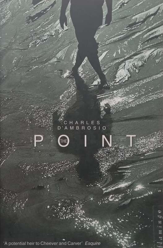 The Point: Stories | Charles DAmbrosio