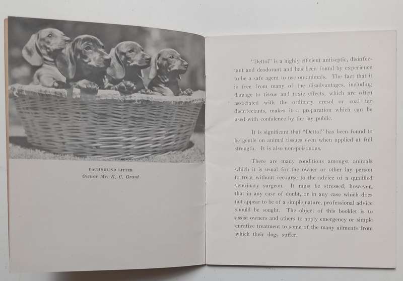 The Dog in Your Care (The Uses of Dettol Antiseptic Series) | K. C. Grant (Photographer)