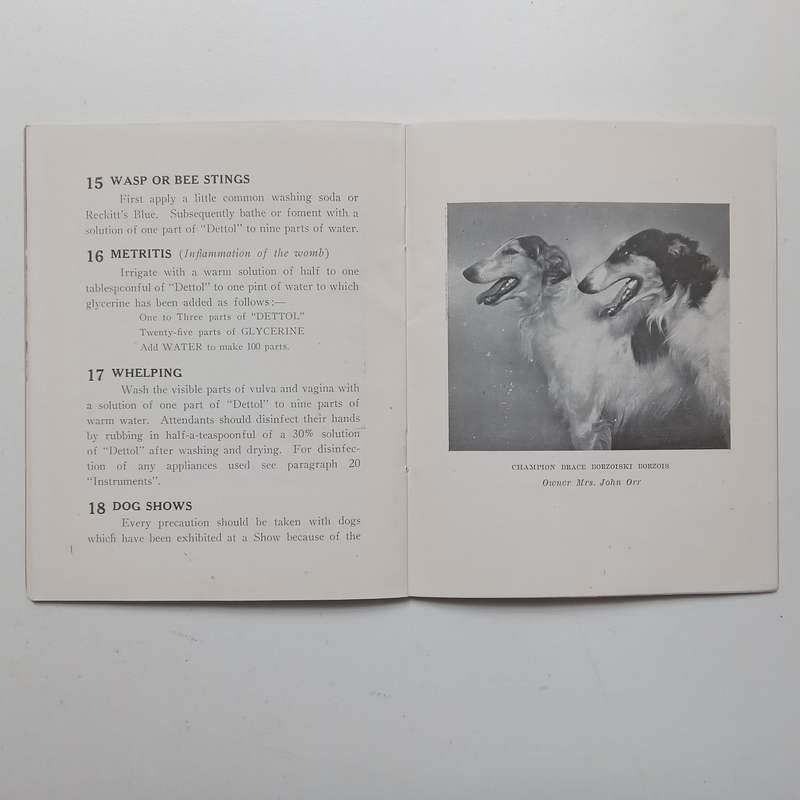 The Dog in Your Care (The Uses of Dettol Antiseptic Series) | K. C. Grant (Photographer)
