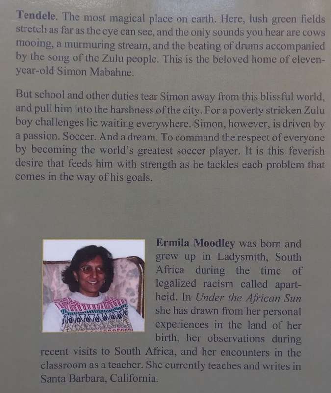Under the African Sun | Ermila Moodley