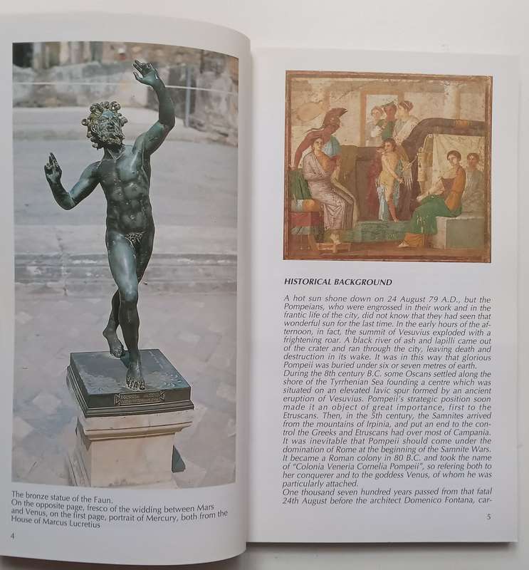 How to Visit Pompeii (With 2 Loosely Inserted Tickets) | Enrika DOrta