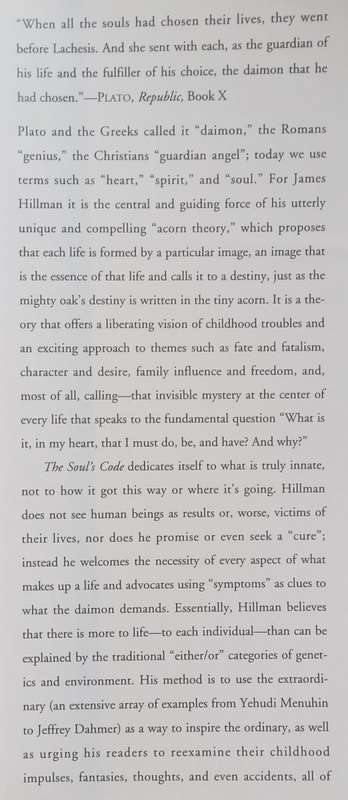 The Souls Code: In Search of Character and Calling | James Hillman
