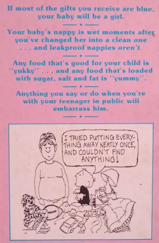 Mother Murphys Law and Other Perils of Parenthood | Bruce Lansky