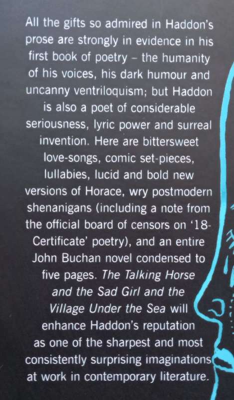 The Talking Horse and the Sad Girl and the Village Under the Sea | Mark Haddon