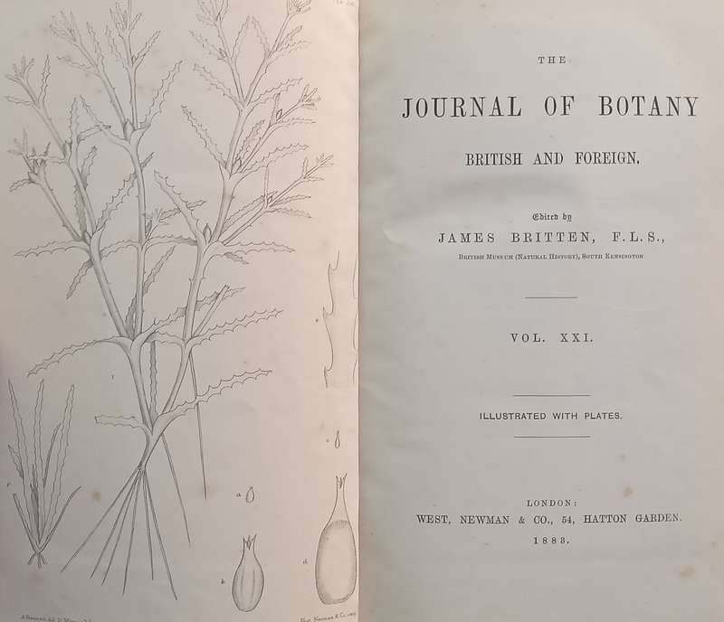 The Journal of Botany, British and Foreign (Vol. 21, Published 1883) | James Britten (Ed.)