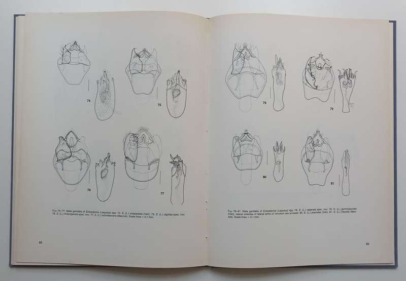 A Revised Cladistic Classification of the Nepticulidae (Lepidoptera) Mainly from South Africa | M...