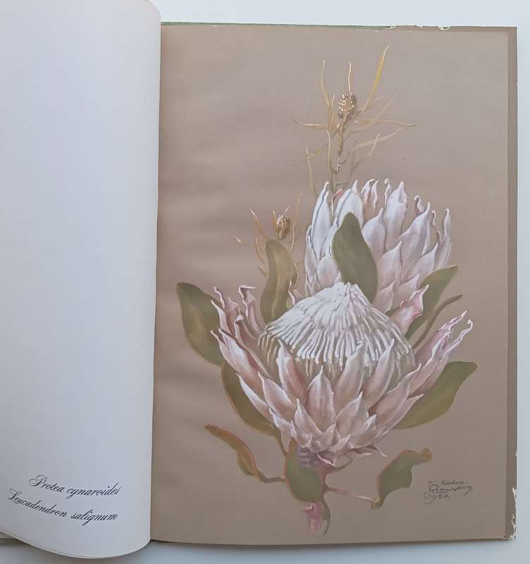 A Bouquet of Wild Roses | Tiiu Kadak