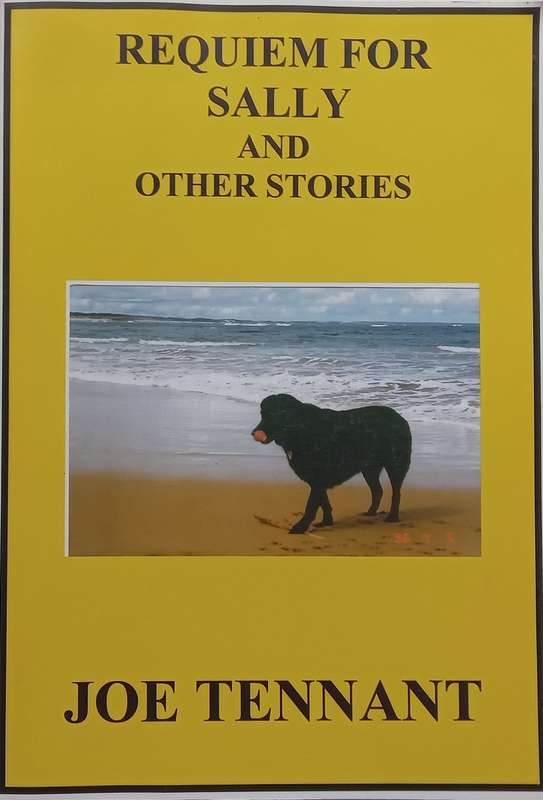 Requiem for Sally and Other Stories (Inscribed and Signed by Author) | Joe Tennant