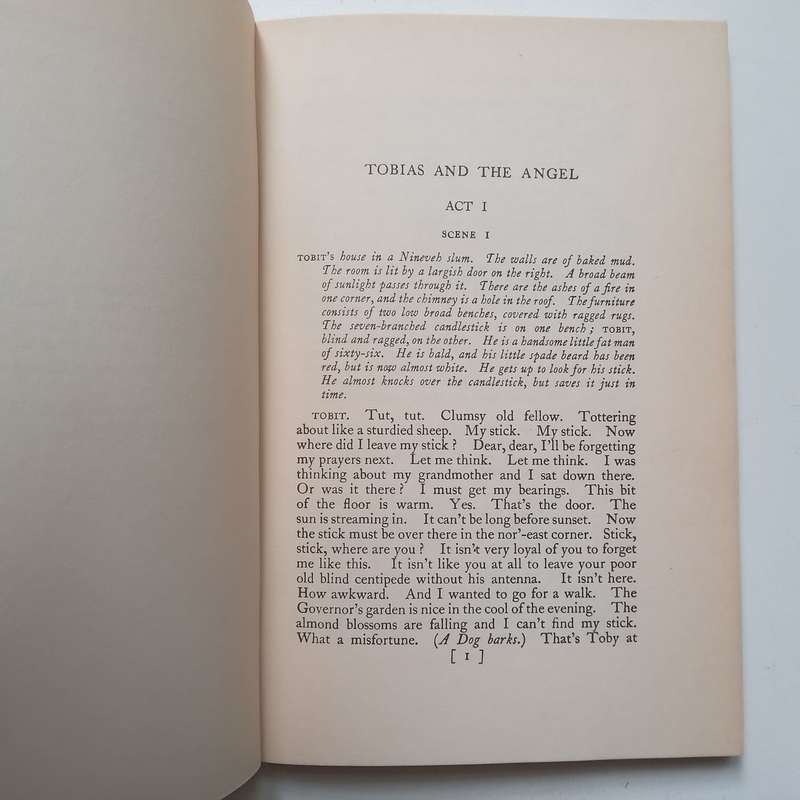 Tobias and the Angel | James Bride