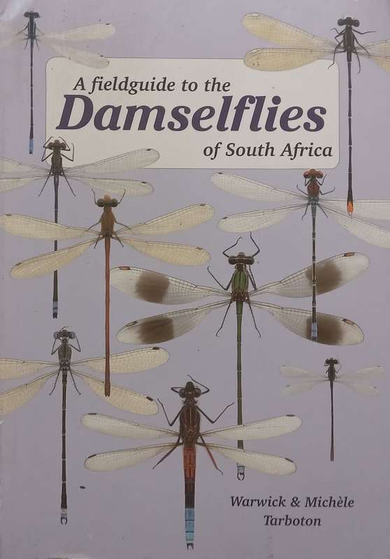 A Fieldguide to the Damselflies of South Africa | Warwick & Michele Tarboton
