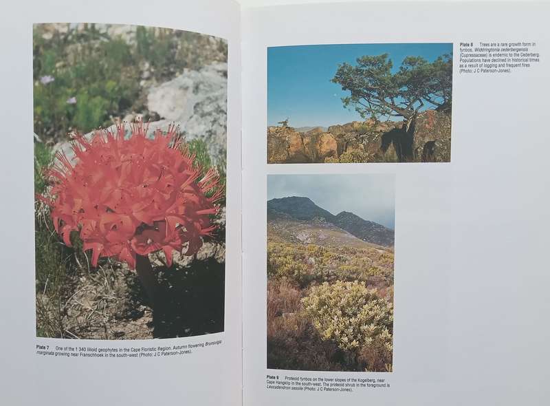 The Ecology of Fynbos: Nutrients, Fire and Diversity | Richard Cowling (Ed.)