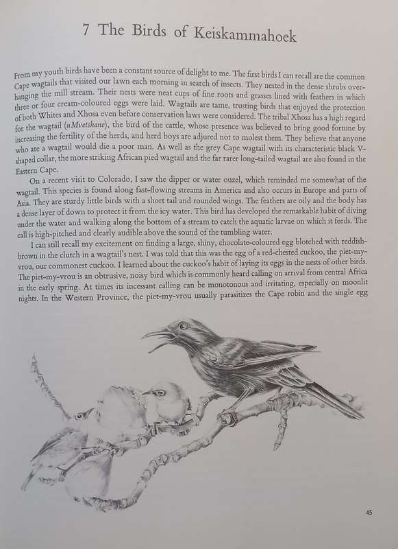 Water: Source of Life (Signed by Author and Illustrator, Inscribed by Illustrator) | Douglas Hey
