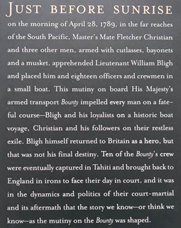 The Bounty: The True Story of the Mutiny on the Bounty | Caroline Alexander