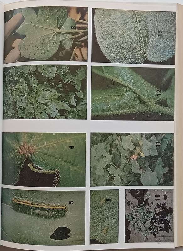 Boere-Ensiklopedie/Farmers Encyclopedia (Afrikaans/English, 1211 Pages)