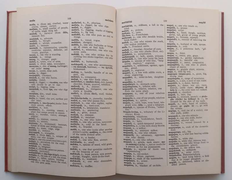 The New English-Sesotho Dictionary | T. J. Kriel