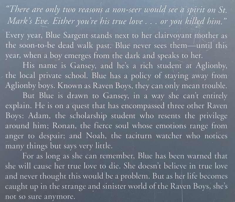 The Raven Boys (Book 1 of Raven Cycle) | Maggie Stiefvater